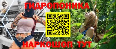 крисы Будённовск