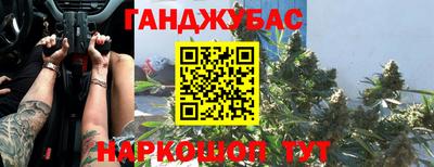 крисы Будённовск