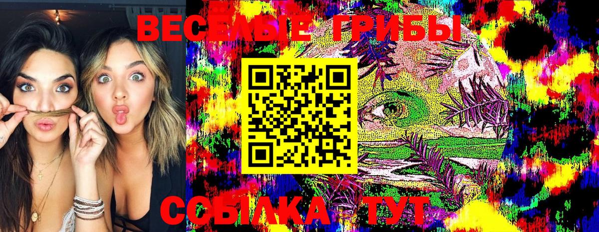 Галлюциногенные грибы Psilocybine cubensis Переславль-Залесский